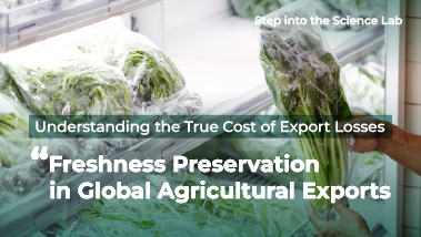 Freshness Preservation in Global Agricultural Exports: Understanding the True Cost of Export Losses
